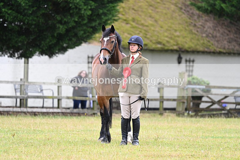 WJ7_6418 - Class 4a Prettiest Mare over 14hh