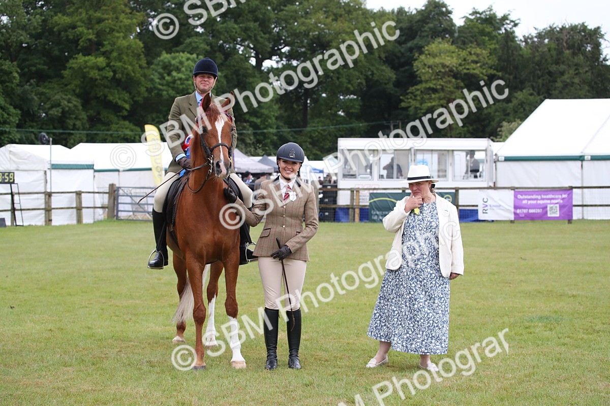 SBM_03651 - Class 21 - 22 - Ridden Arab and Part Bred/Anglo Arab