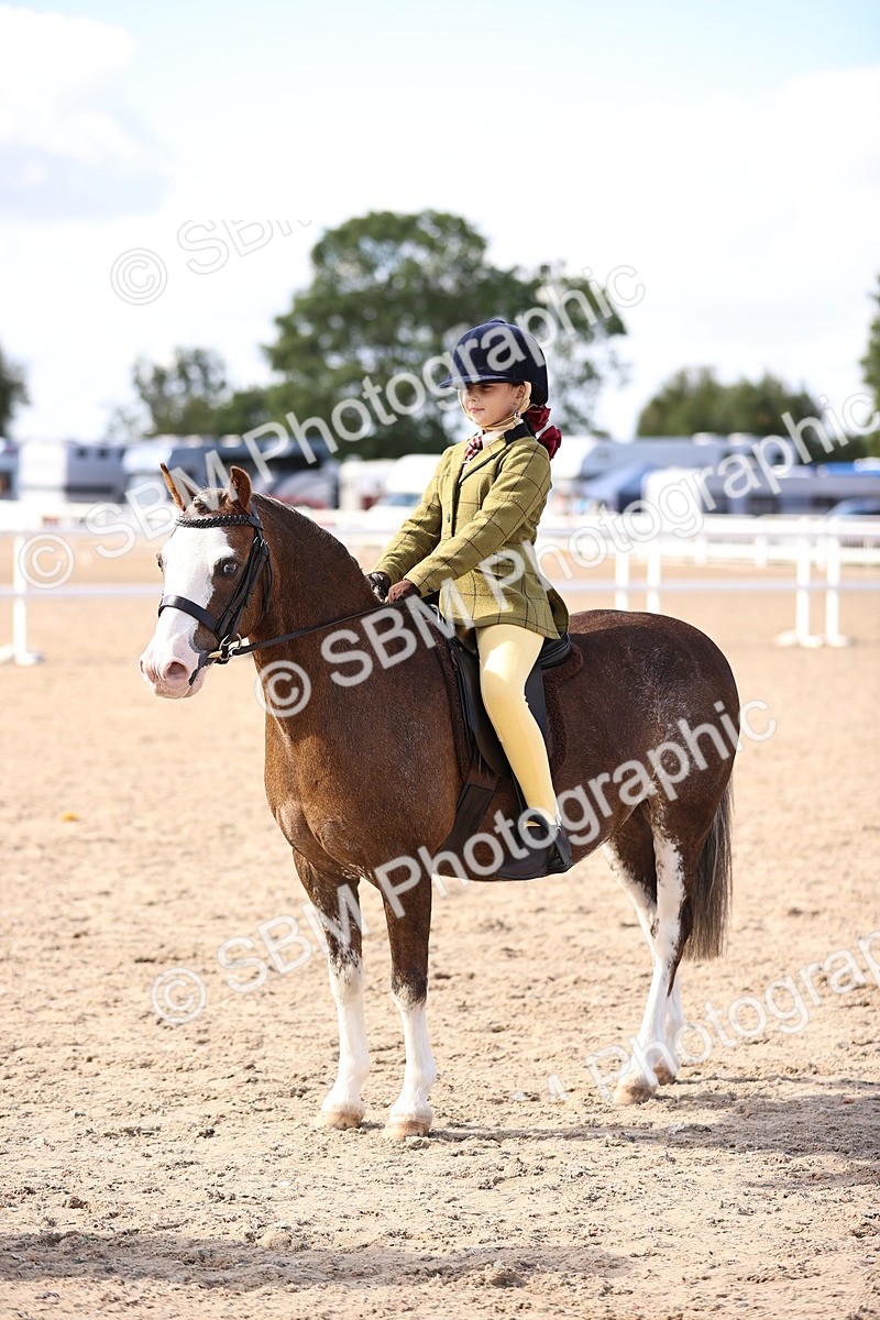 SBM_11614 - Class 408 - Grassroots Ridden - Walk & Trot