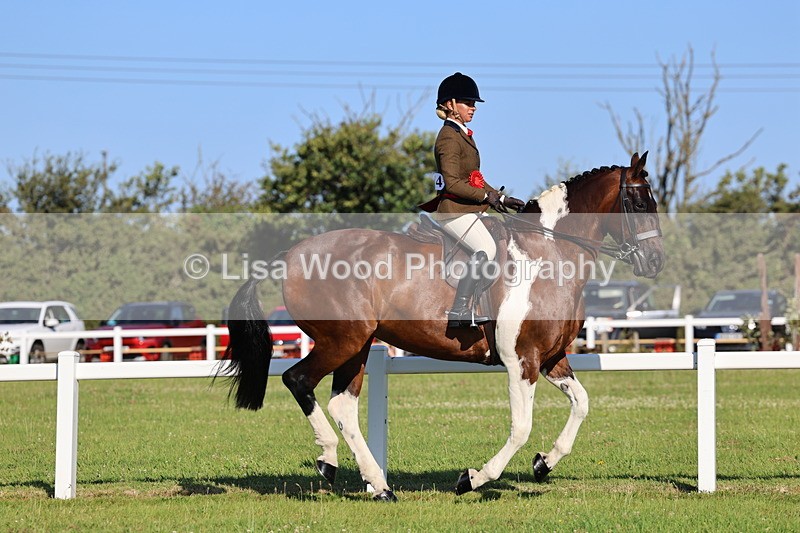 IMG_1352 - Class 27: Ridden Plaited Coloured Horse