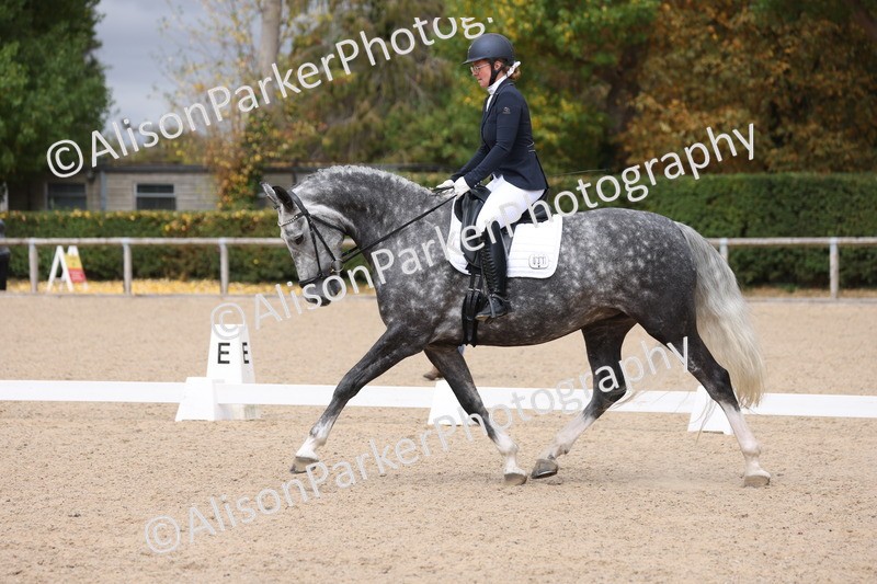 20250820-0797 - Class 15 - Novice 4