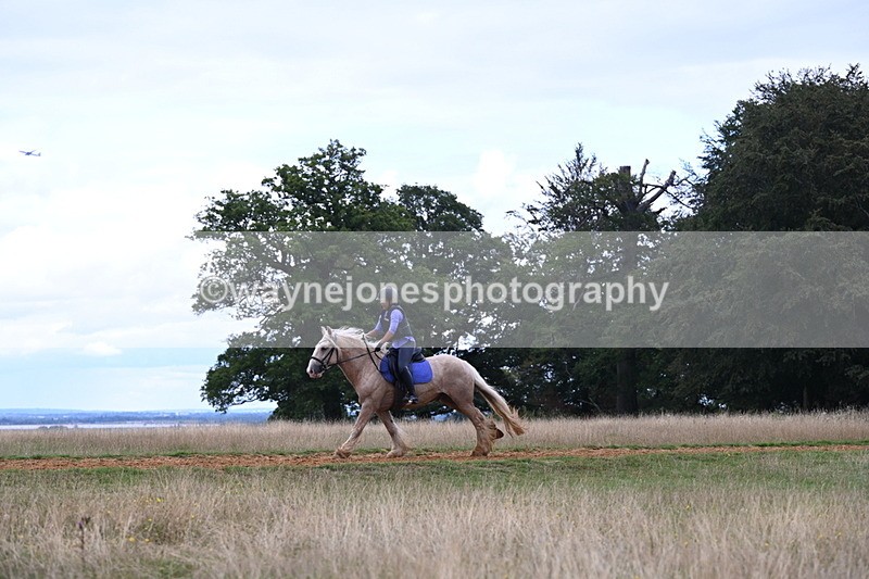 DSC_9501 - Time at Statue 15:11 to 15:58