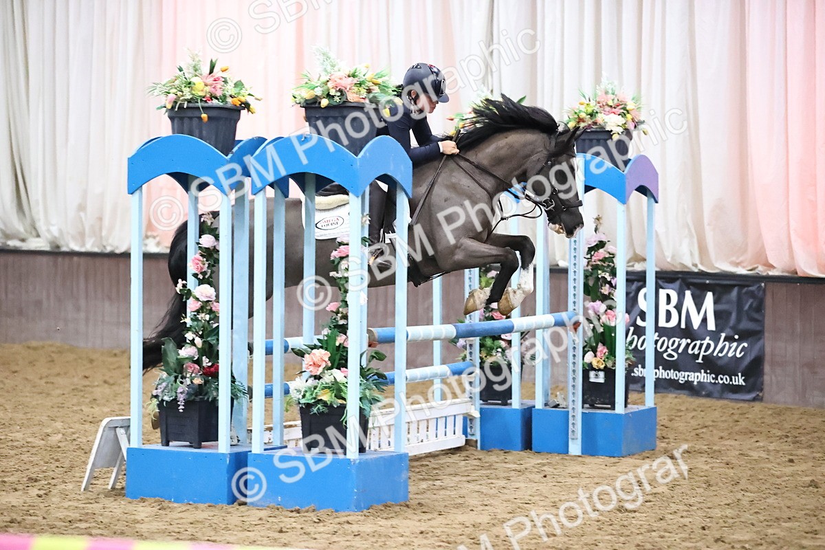 SBM_002068 - Class 8 - Senior British Novice - 90cm