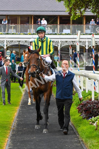 180523-Race 7-Chesspiece-0904 - Race 7 5.20pm Collective Green Energy Handicap