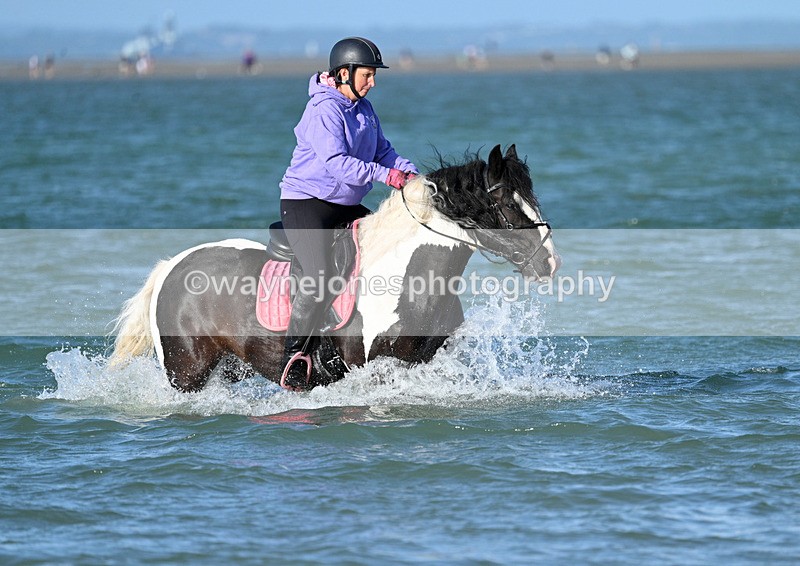 WJ7_3503 - Kellie & Churchill ... do Hayling Island 25-08-24