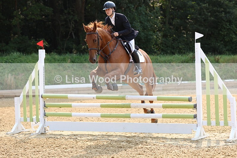 3E7A1250 - Class 4: Senior British Novice/90cm open