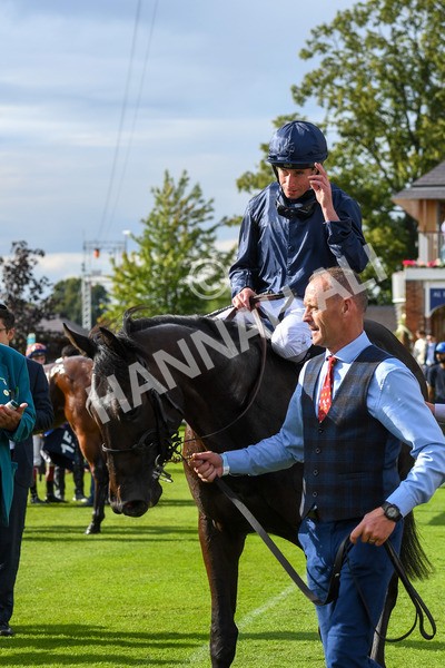 250823-Race 6-Battle Cry-1090 - Race 6 4.45pm British EBF 40th Anniversary Convivial Maiden Stakes