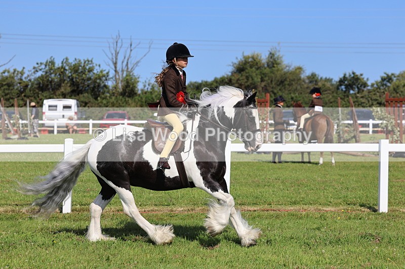 IMG_1641 - Skewbald and Piebald Ridden Championship