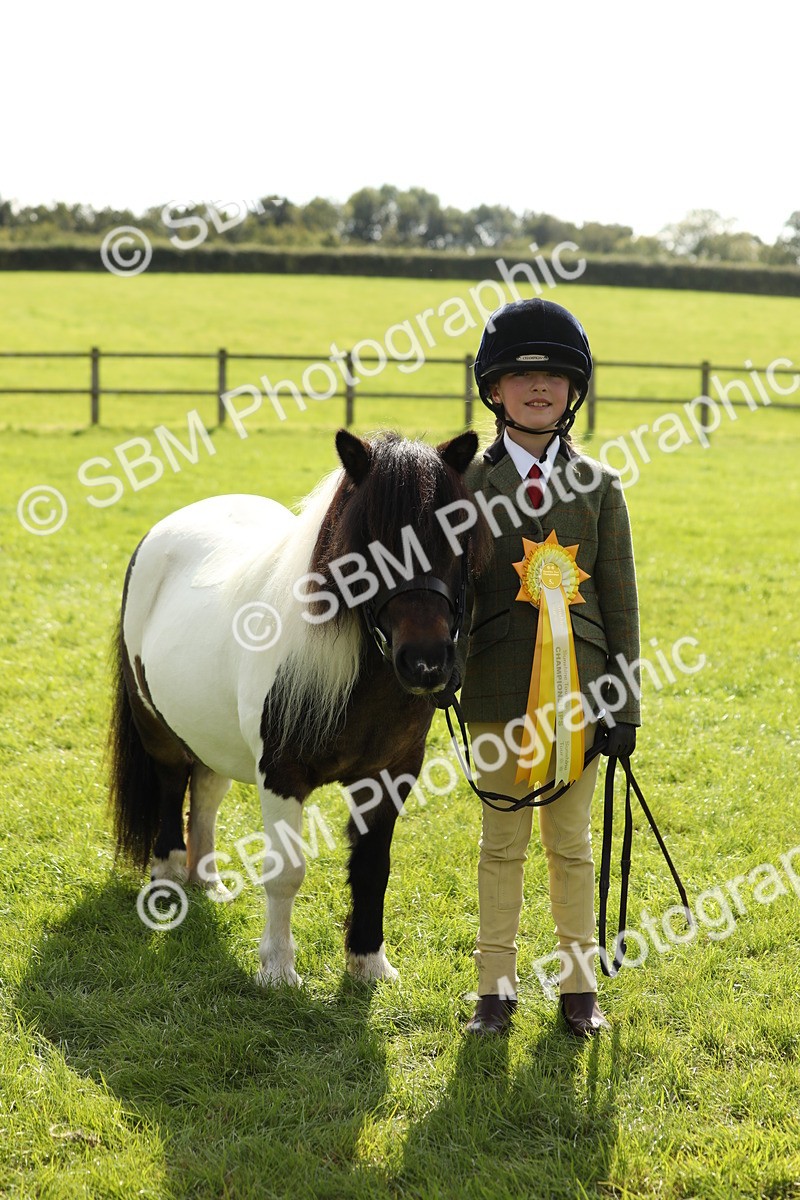 SBM_67854 - S39 - Junior Handler 8  Years & Under