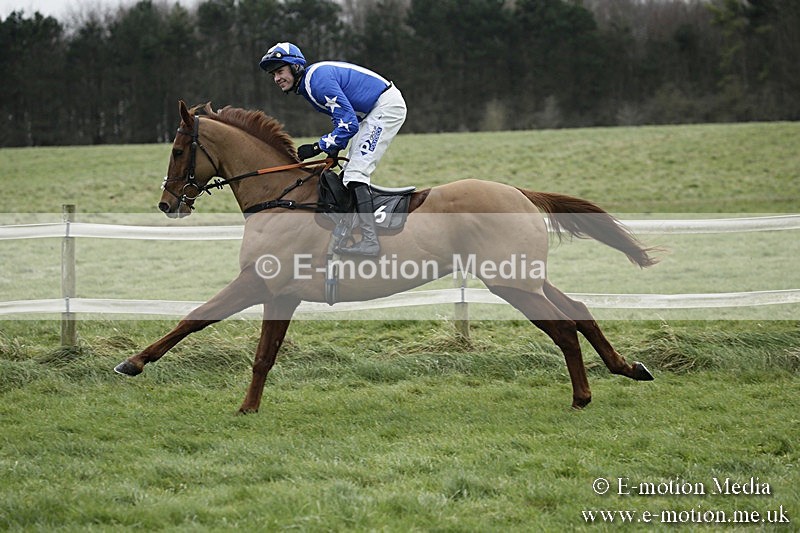PtP 031217 263 - Hursley Hambledon Point-to-Point Larkhill 03/12/17