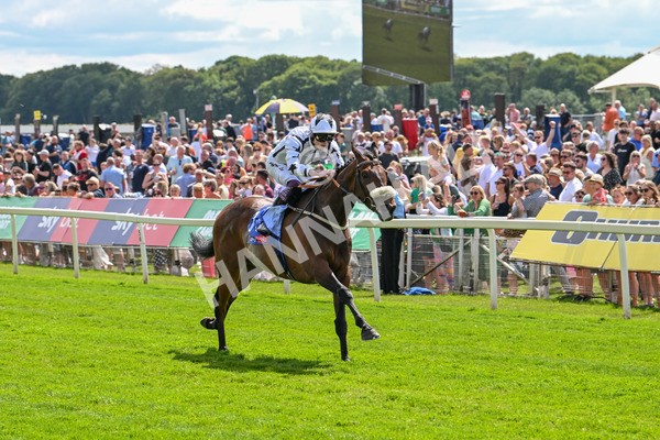140625-Race 3-Al Qareem-2486 - Race 3 3.00pm Sky Bet Race To The Ebor Grand Cup Stakes