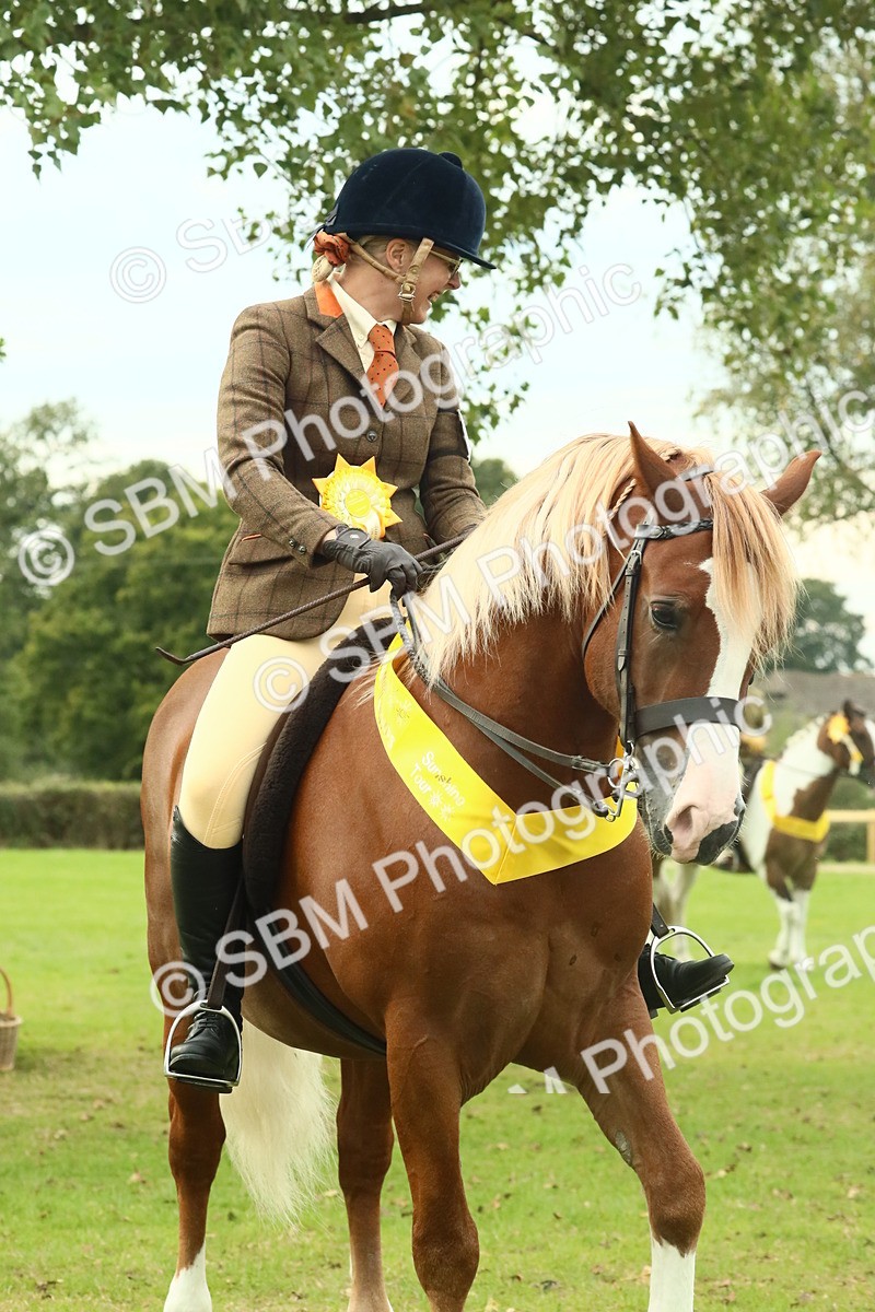 SBM_75076 - Ridden Pony Supreme Championship