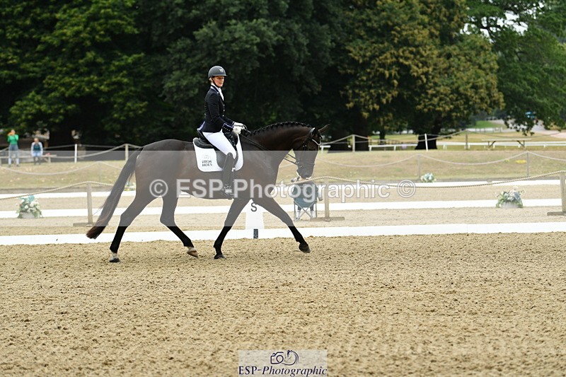 250718A-103520-00195 - 061-Louise.Christie-High.Hoes.Dandelion