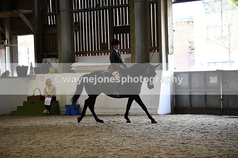 WJ5_6196 - Class 9 Ridden Veteran