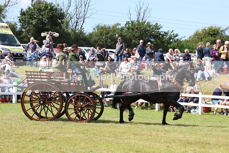3E7A2834 - Class 12: Open Driving