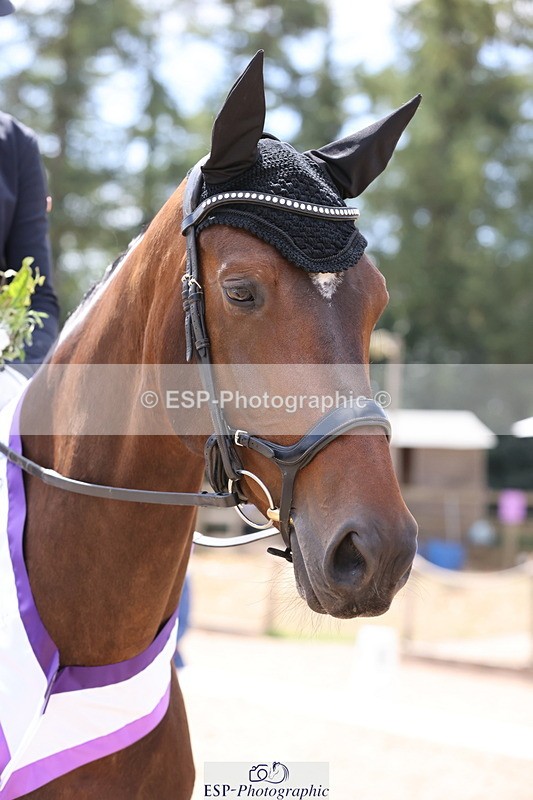 250809A-132207-03484 - Elementary GOLD Presentations