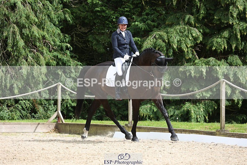 230812-152740-05143 - Cls 5 Novice Bronze 15.00 to End