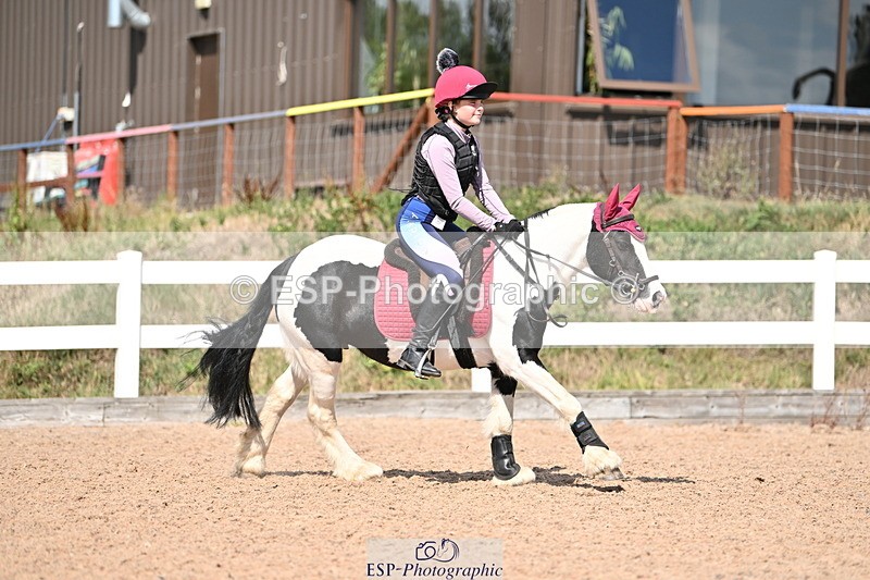 250821B-150256-00910 - Group D - Thomasina