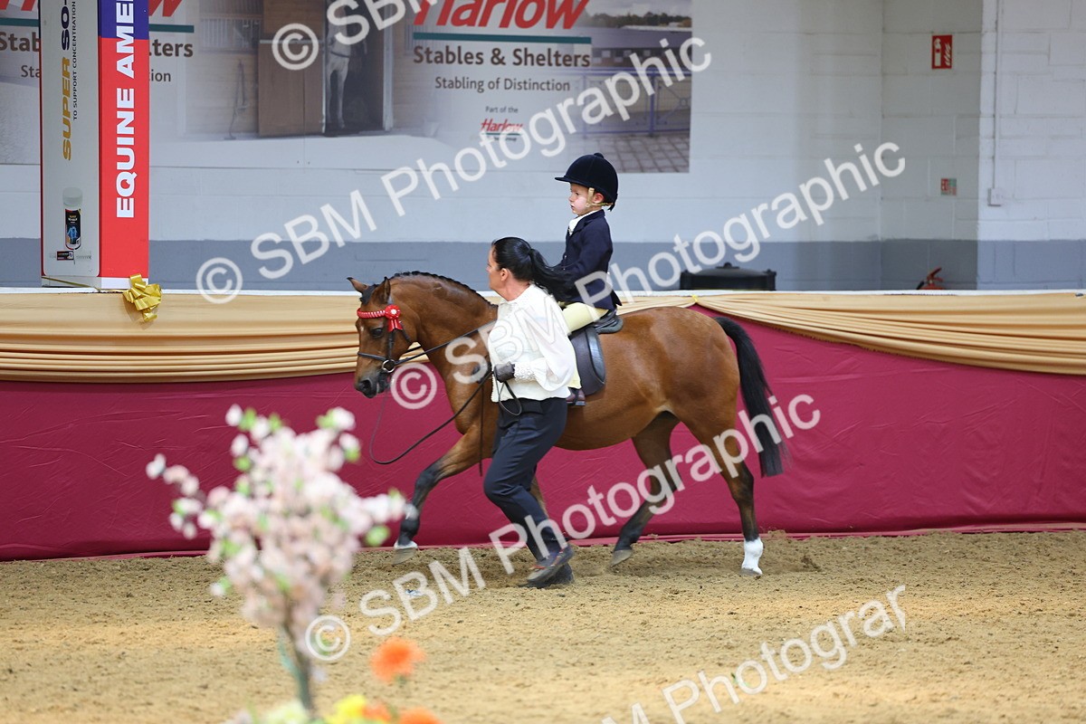 SBM_24003 - Class 905 - Supreme Final - Ridden Veteran