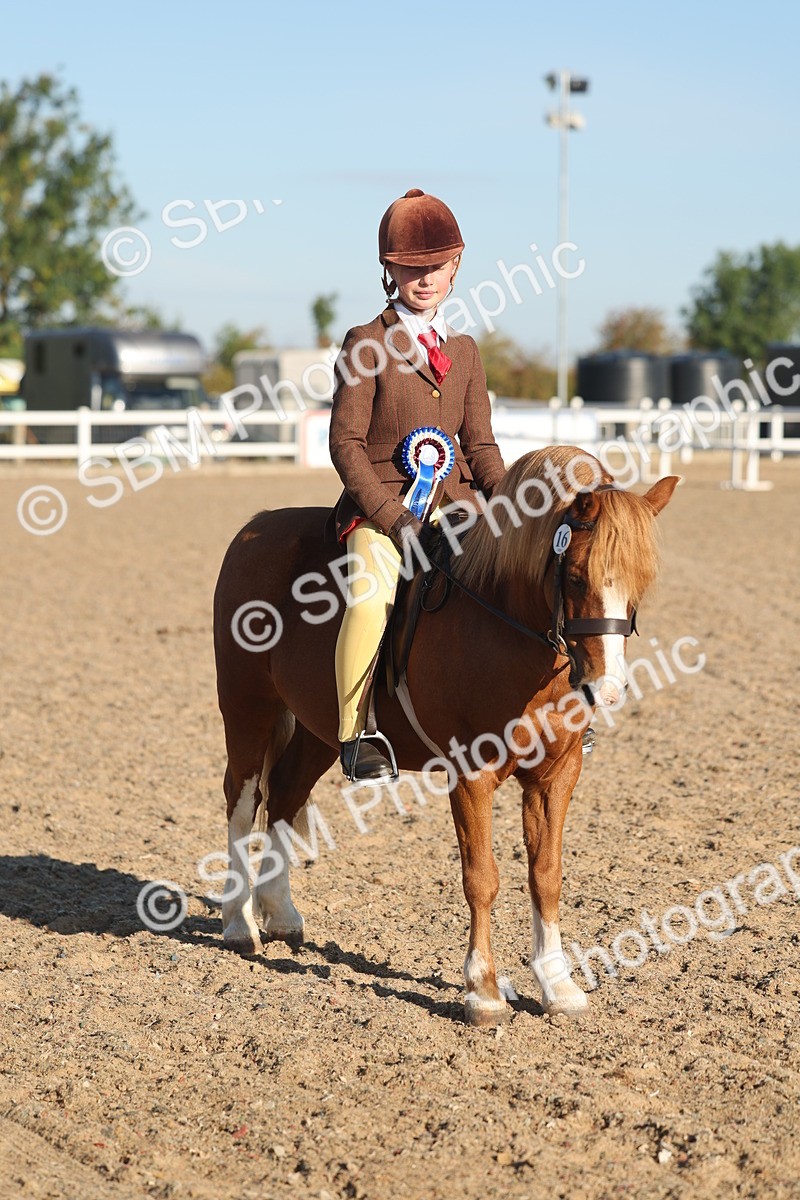 SBM_10938 - Class 301 - Ridden M&M Small Breeds