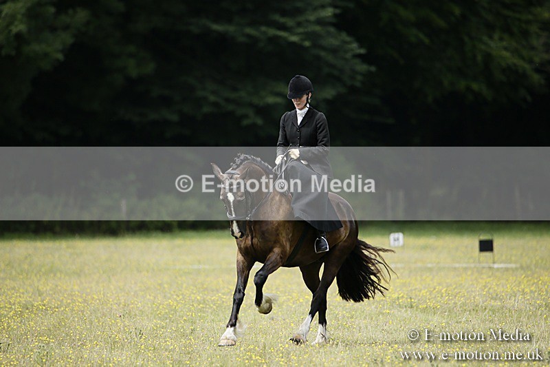 BVR160717-1590 - Side Saddle Classes 16/07/17