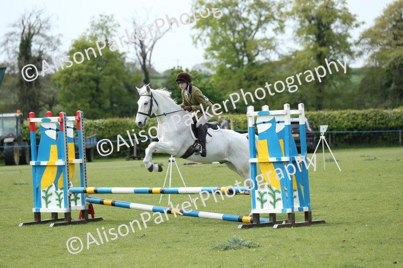 20260426-2086 - Class 15 - Absolute Novice 70cm