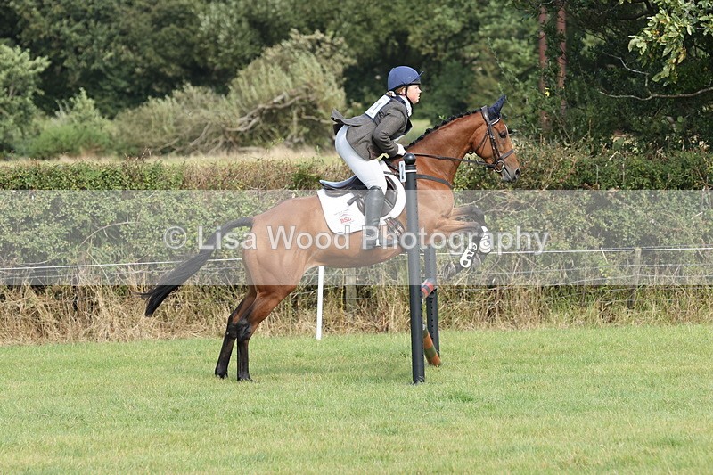 JPP_8533 - Class 2: Trekenning: 80cm Showjumping