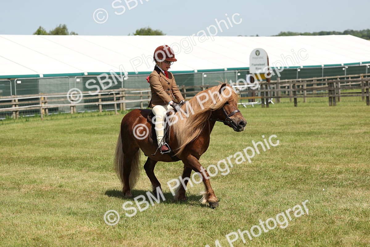 SBM_05345 - Class 24-25 - Mountain & Moorland In Hand Lead Rein and First Ridden