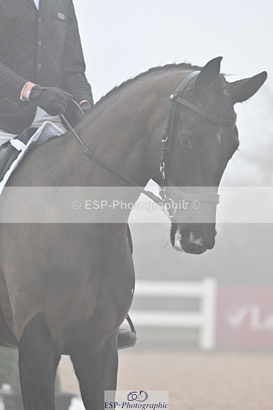 240217A-141308-03382 - 229-Jack.Speakman-Dwynwen