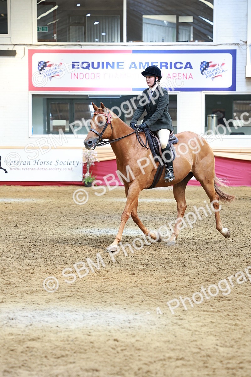 SBM_14907 - Class 108 - Ridden Retired Racehorse