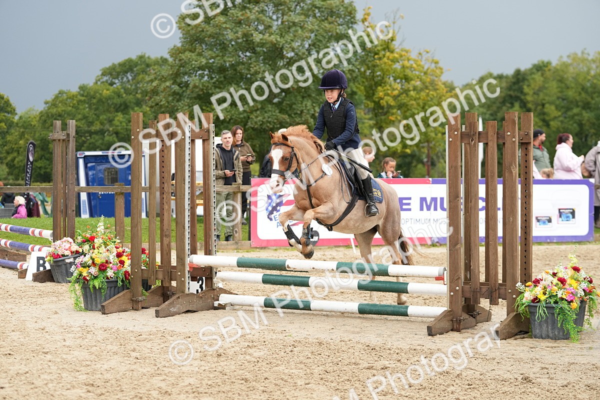 SBM_33408 - J5 - Junior Pony 50cm Championship