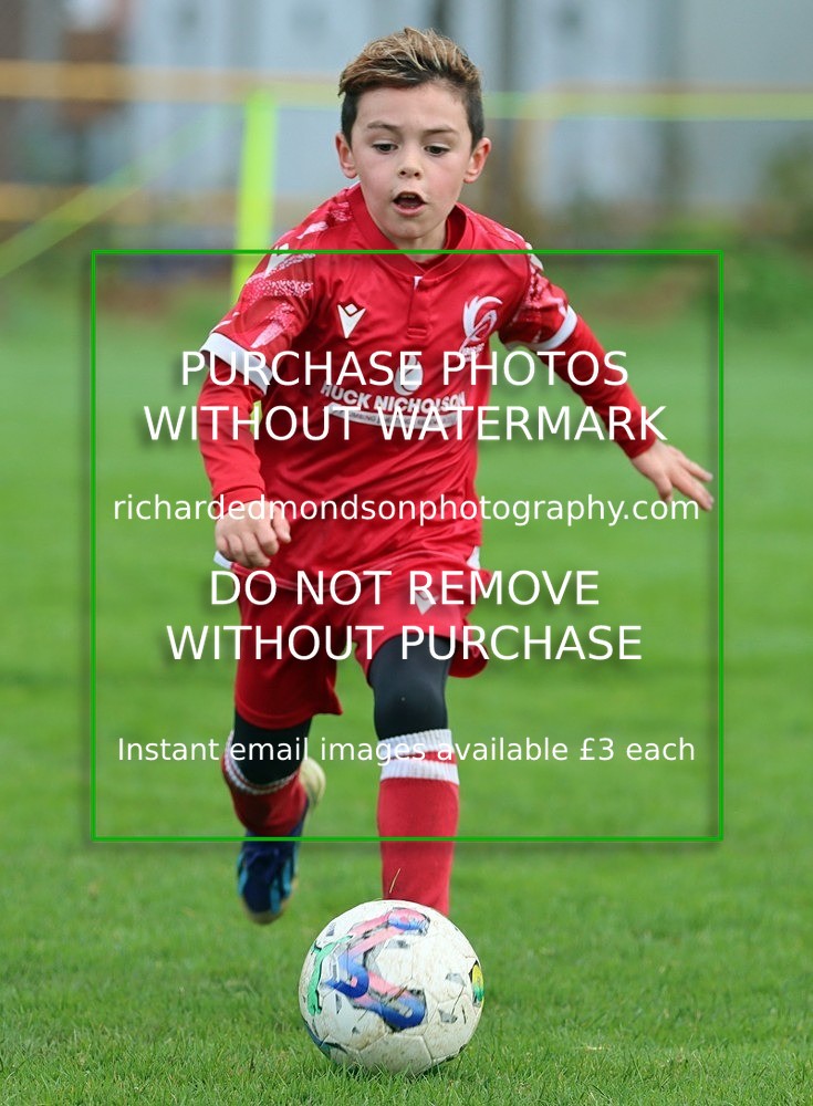 IMG_7107 - Ibis Under 8's (19/10/24)