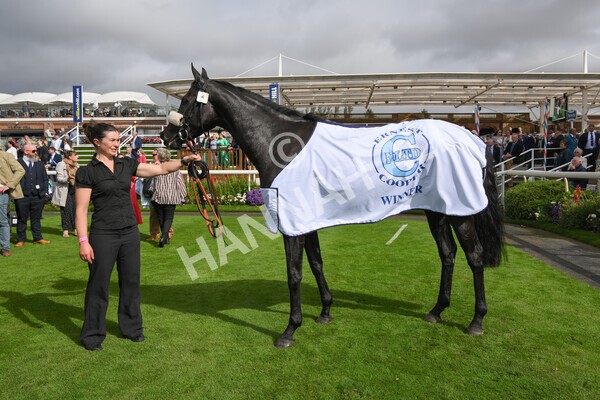 yr24092021r1-179 - Race 1 1.10pm Ernest Cooper Macmillan Ride of Their Lives