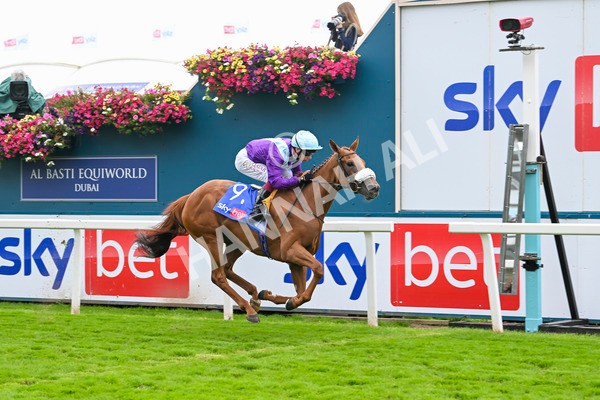 240824-Race 1-See The Fire-1003 - Race 1 1.50pm Sky Bet Strensall Stakes