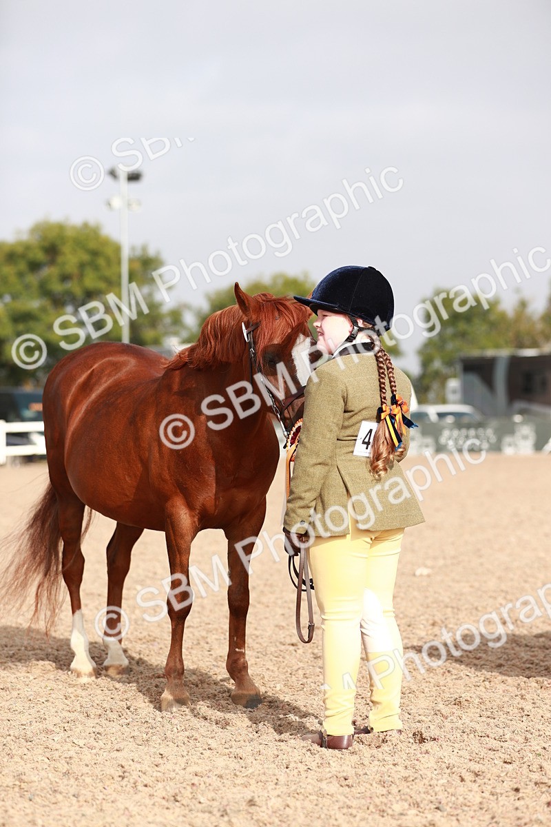 SBM_09939 - Class 203 Young Handler, 10 years and under