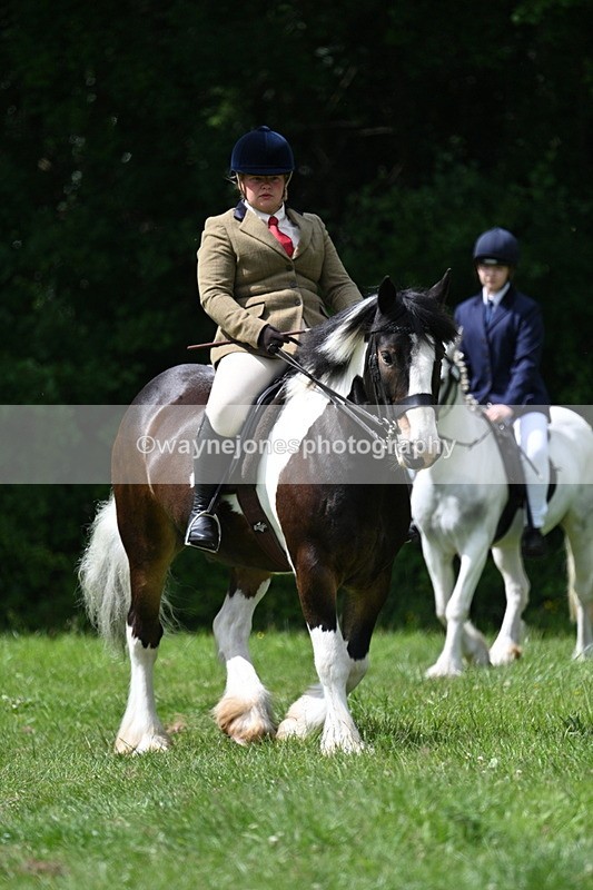 WJ7_1892 - Class 12A Coloured Class