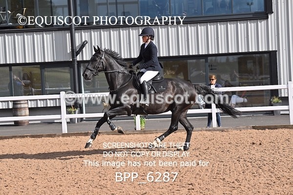 BPP_6287 - CLASS 11 THURS GFS Saddles Senior Newcomers/1.10m Open