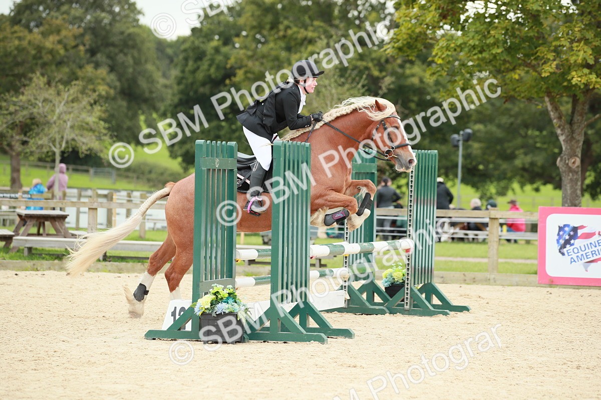 SBM_10129 - J31 Senior 75cm Championship