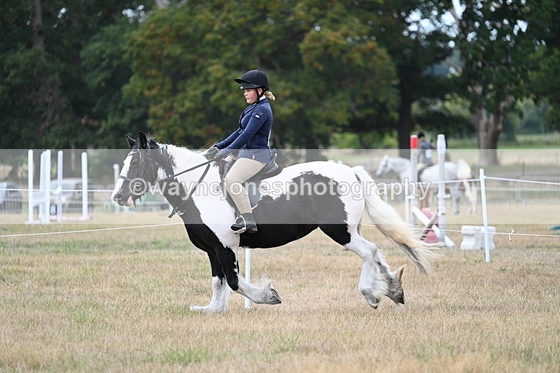WJ7_5114 - Class 12 Ridden Cob