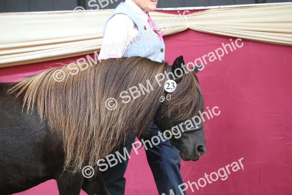 SBM_15108 - Class 501 M&M IH Supreme Final