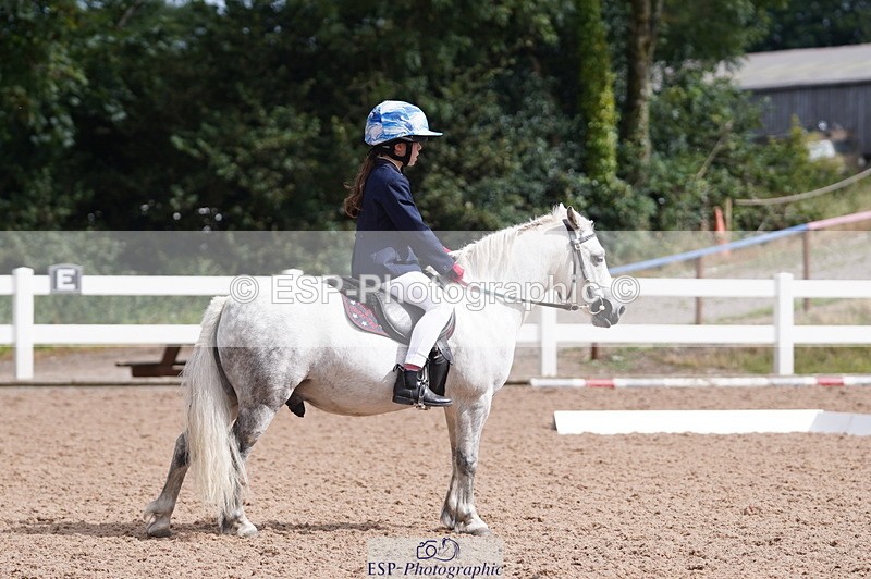 240809A-110154-00708 - Dressage Competition