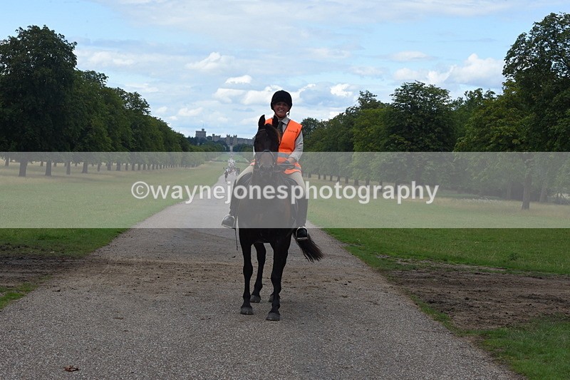 TT3_0545 - Time at Crossing 14:53 to 1526