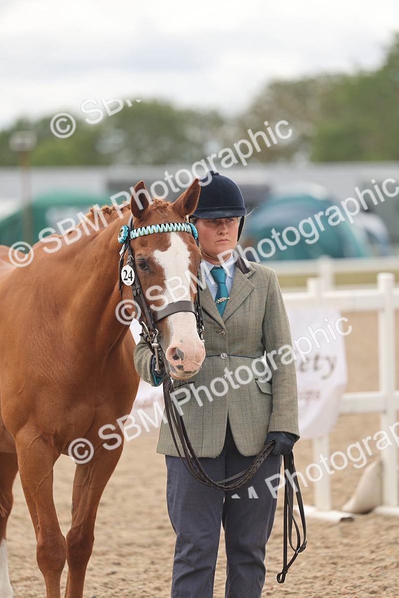 SBM_17019 - Class 312 - IH Competition Horse-Pony