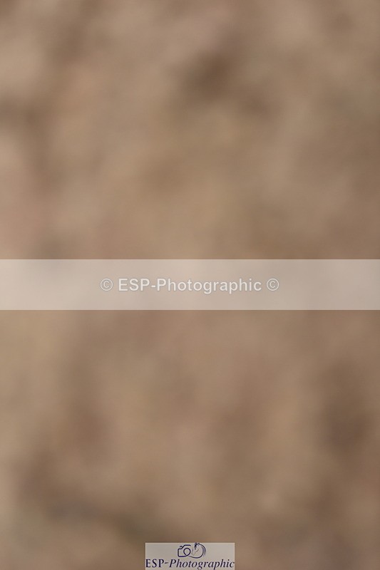 240528A-144016-00038 - 40 & 50cm