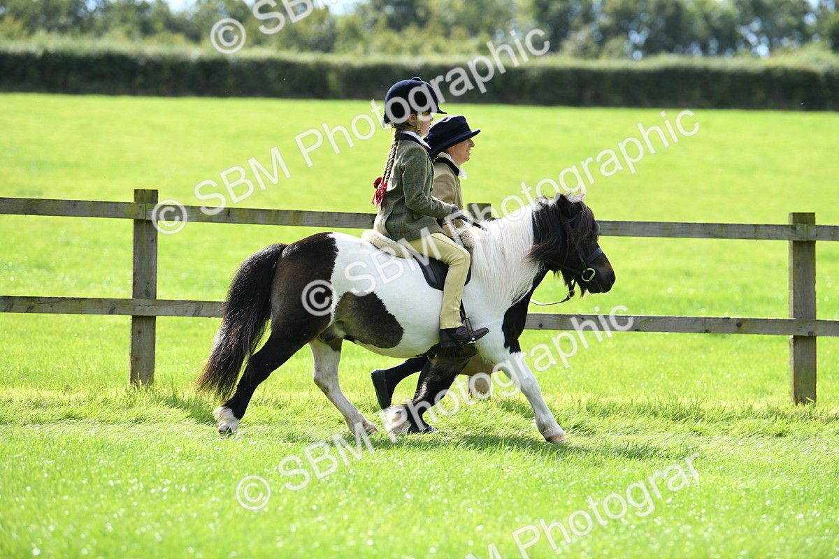 SBM_42521 - S20 - Lead Rein Mountain & Moorland Pony