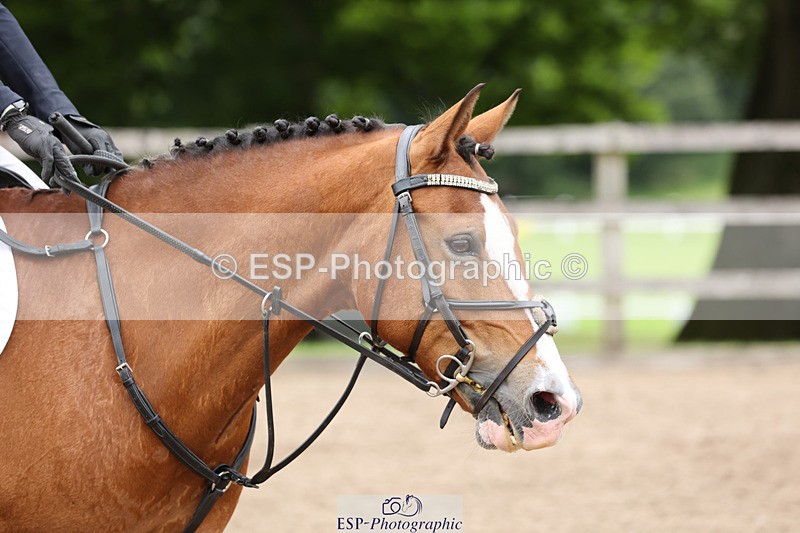 240804-145803-16192 - 610-Pippa_Roe-MONKSHORN_SMART_ALEC