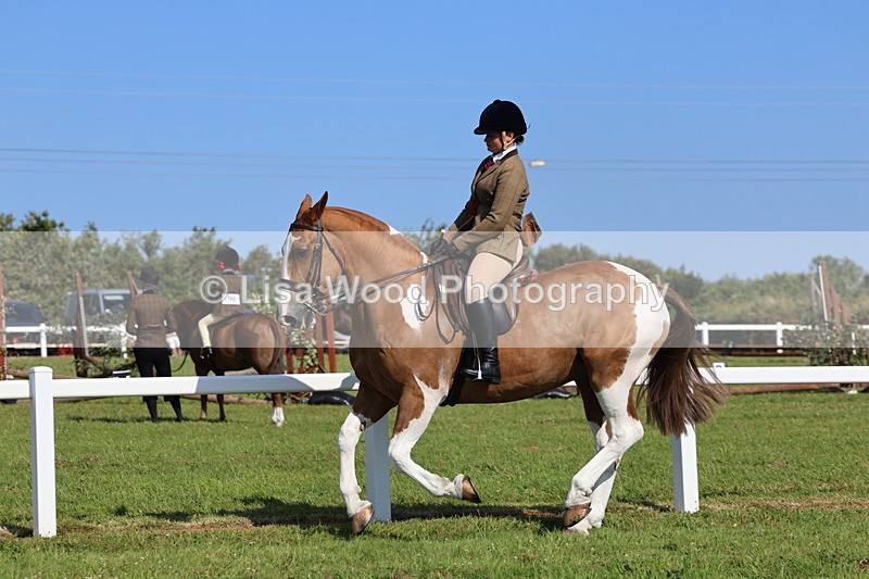 IMG_1667 - Skewbald and Piebald Ridden Championship