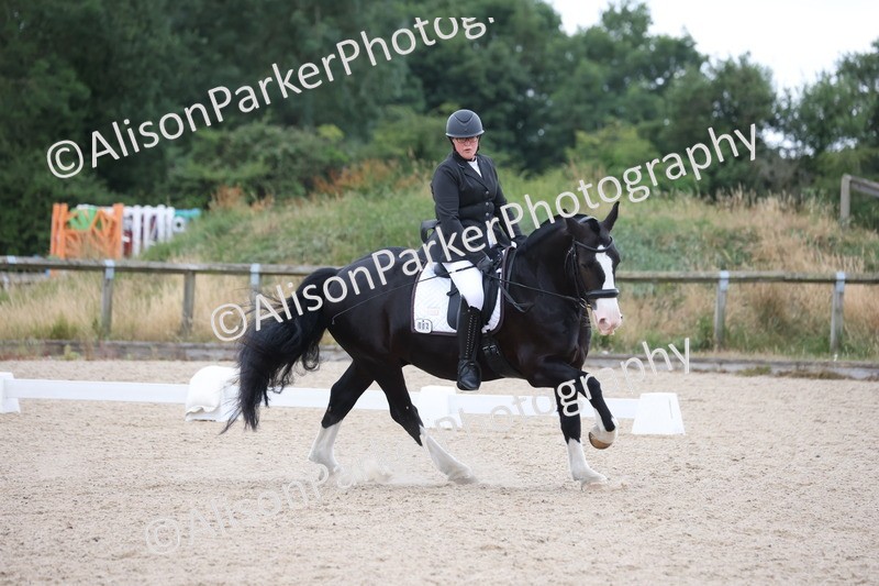 20250706-0108 - Class 11 - MQ Open Novice Test 3