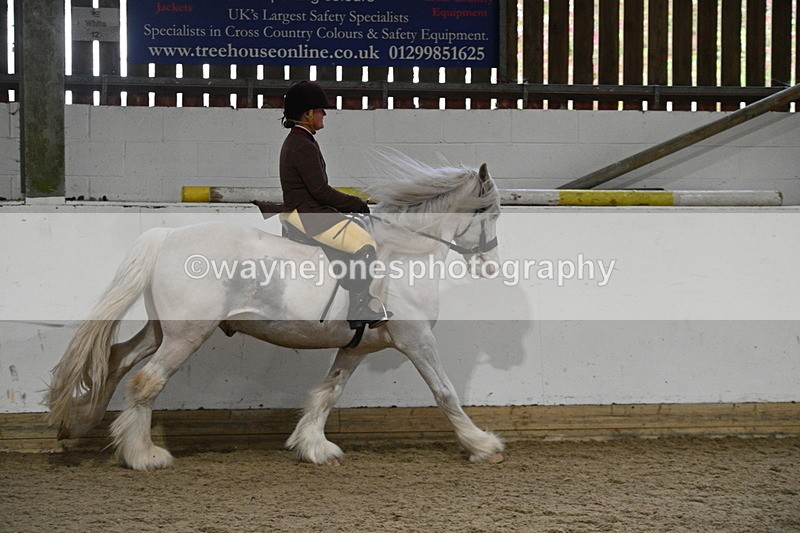 WJ7_4250 - Class 17 Ridden Cob