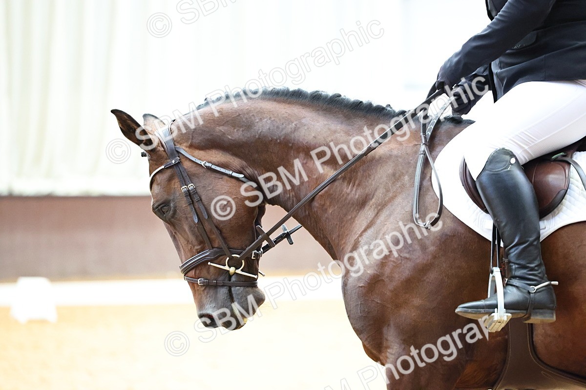 SBM_003610 - Prelim 2